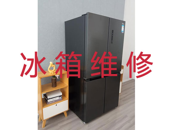 揭阳专业冰箱安装